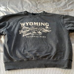 Forever 21 Gray Crewneck Sweater with Wyoming Graphic